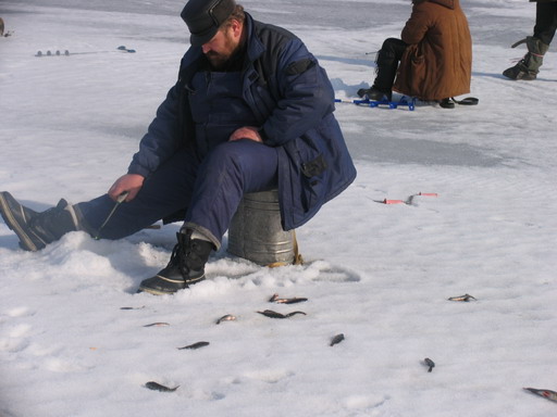 общий вид рыбаков на льду. Озеро в карелии.